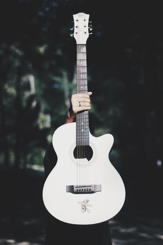 Acoustic Guitar